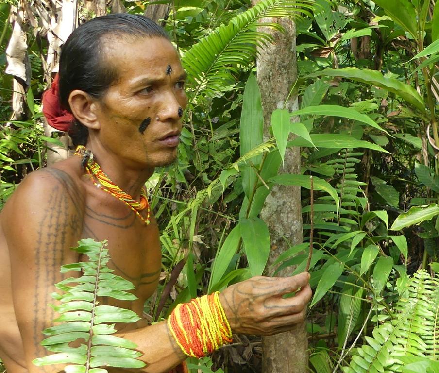 Mentawai with Derris elliptica root