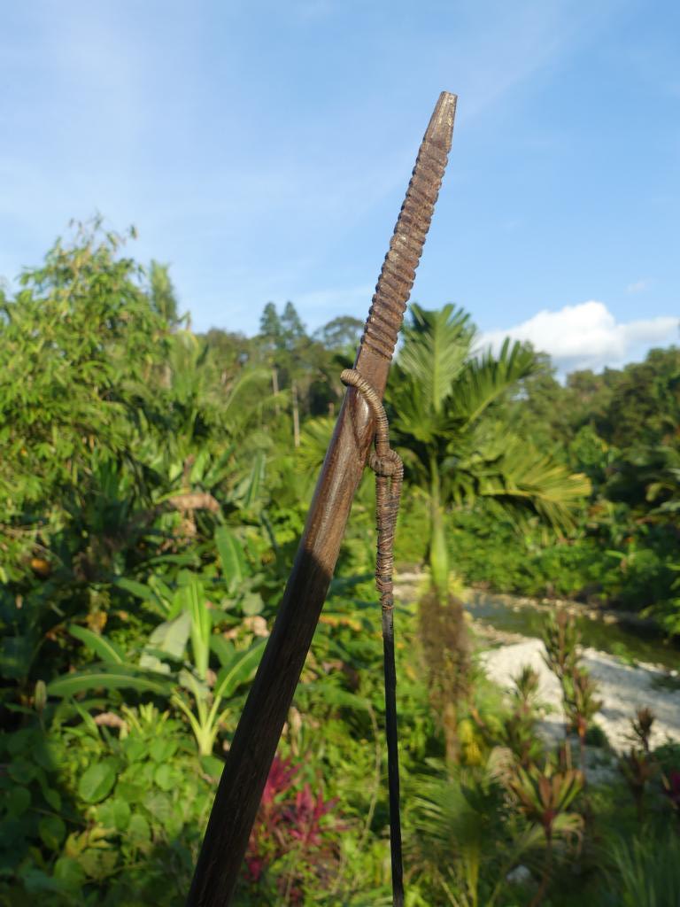 Upper string nock of a Mentawai hunting bow