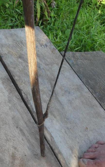 Lower string nock of a Mentawai hunting bow