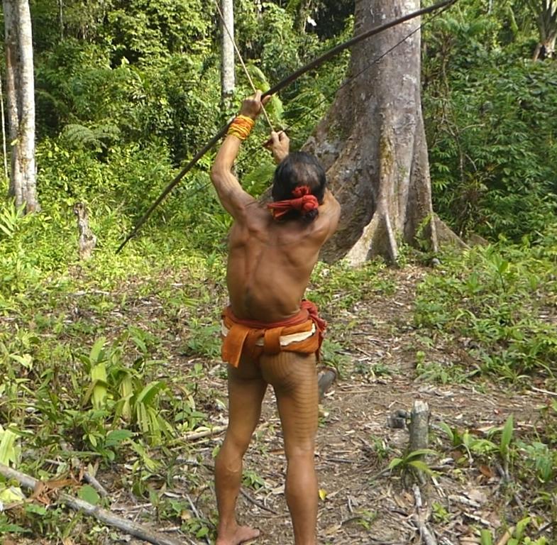 Nocking an arrow at a Mentawai hunting bow
