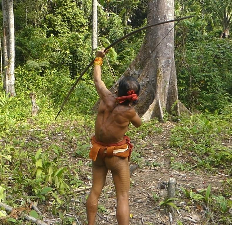 Shooting a Mentawai hunting bow