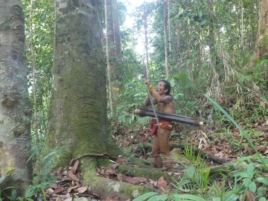 Mentawai bow hunter in the forest