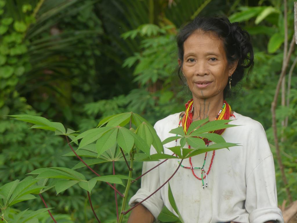 Mentawai woman with young cassava leaves