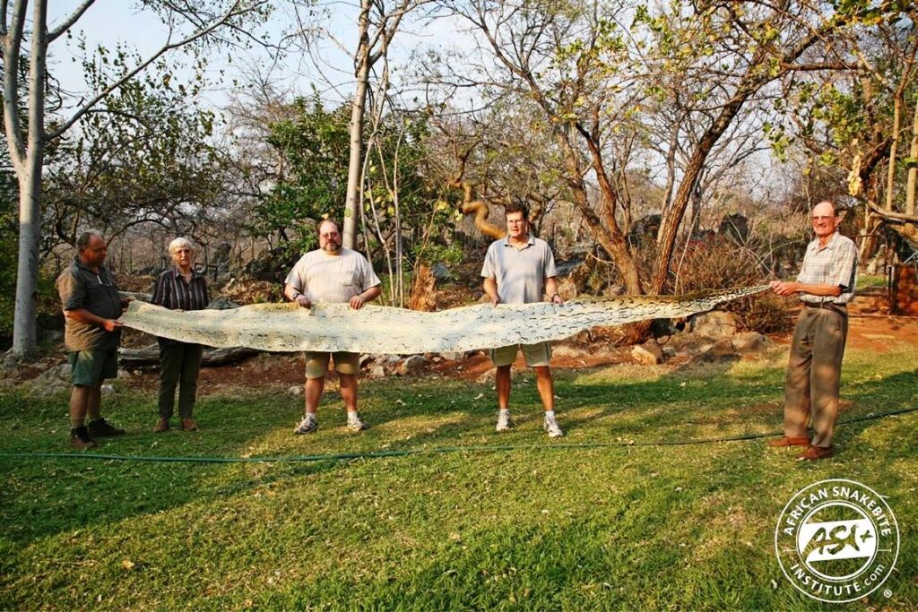 A farmer shows off a large Southern African Python