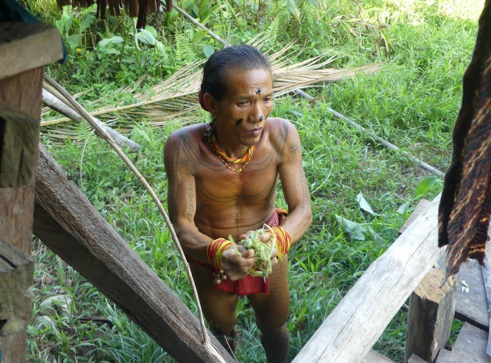 Mentawai cleaning his hands after preparing arrow poison