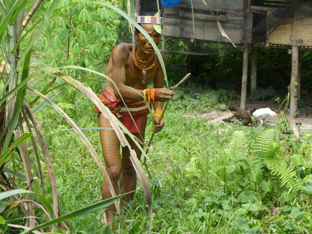 Mentawai rattan sling for catching chicken