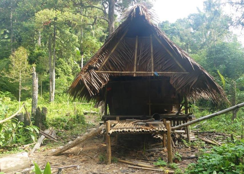 Front view of a Mentawai  forest hut