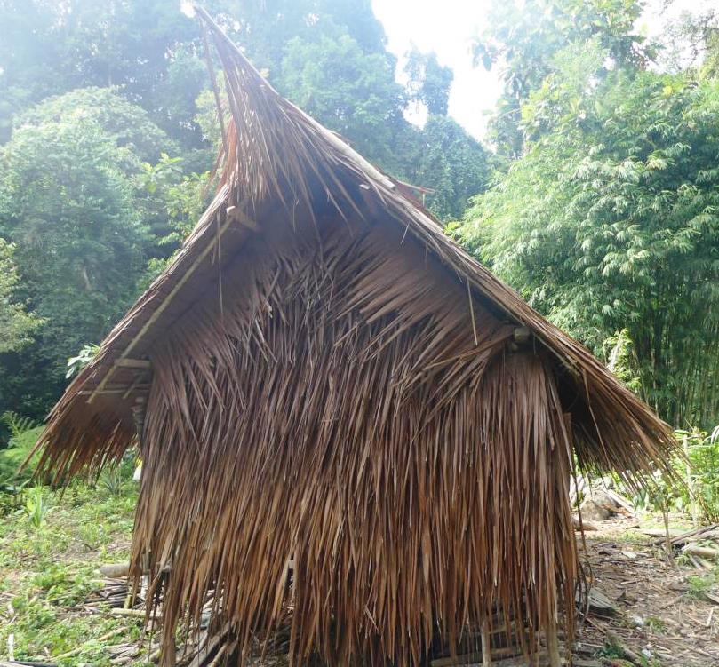 Backside of a Mentawai hut