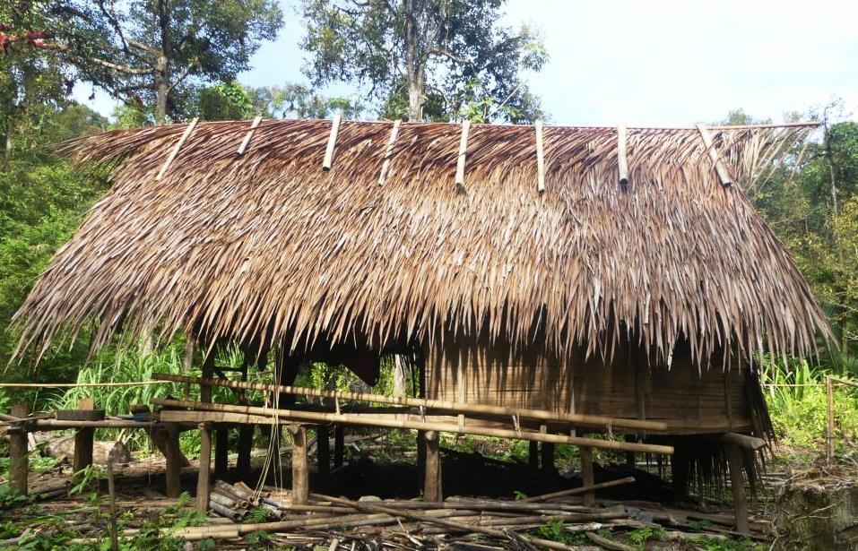 Sideview of a Mentawai forest hut