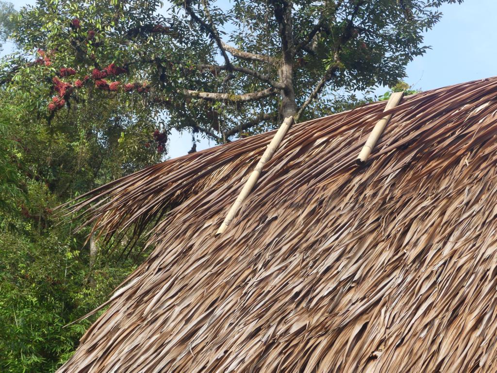 Roof gable area of Mentawai forest huts