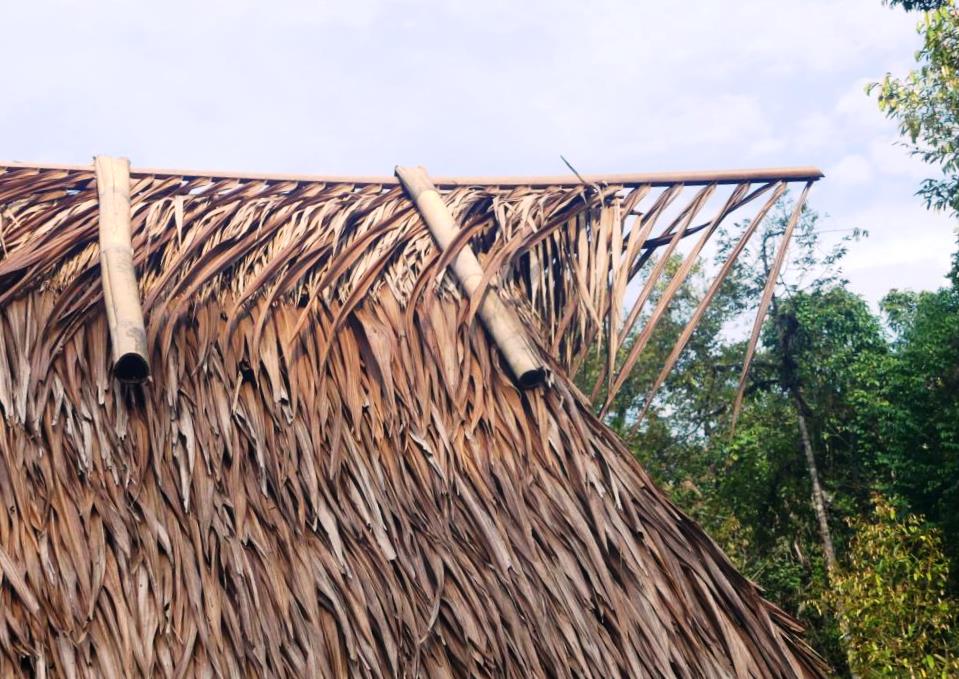 End section of a roof gable of Mentawai forest huts