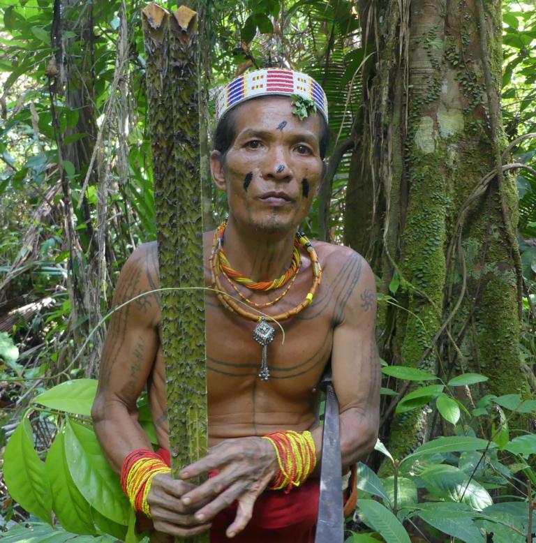 Rattan leaf stalks for coconut grating - Bushguide 101