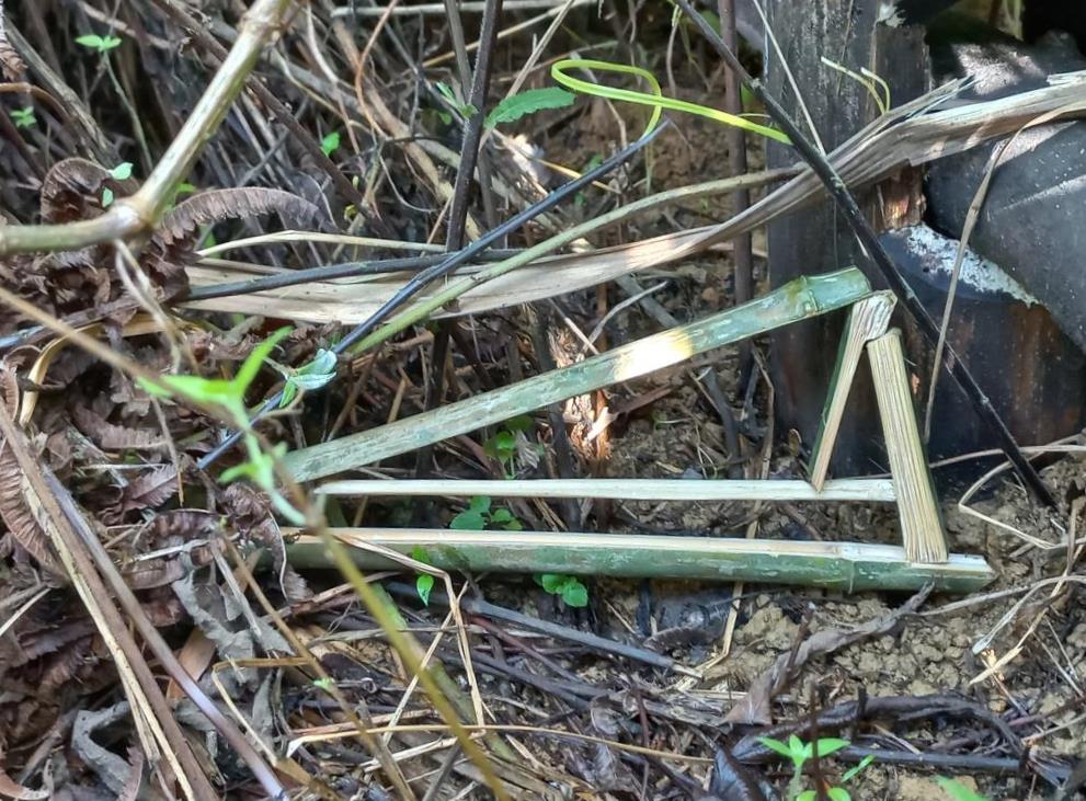 Camouflaged scissor trap