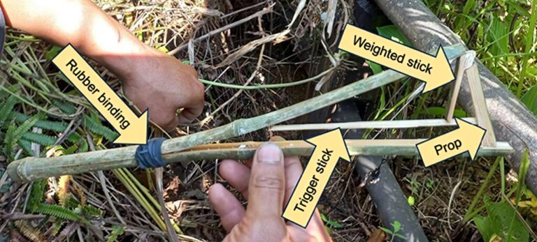 Scissor Traps of Thái Đen tribals in Vietnam - Bushguide 101