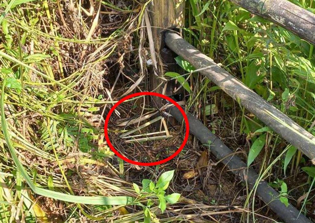 Trapping location in Vietnam