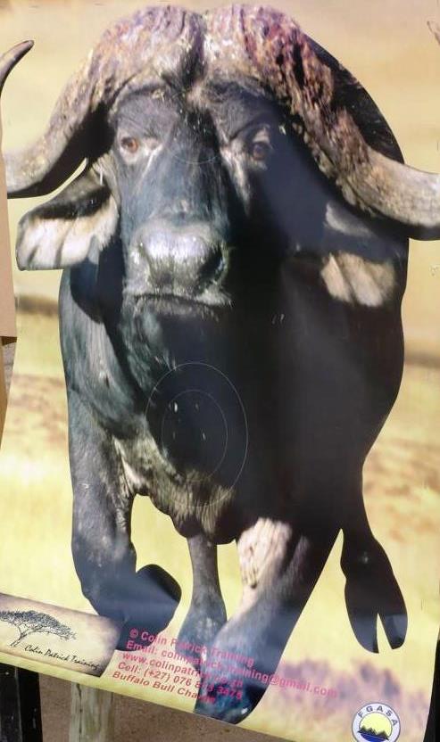 Official FGASA buffalo target
