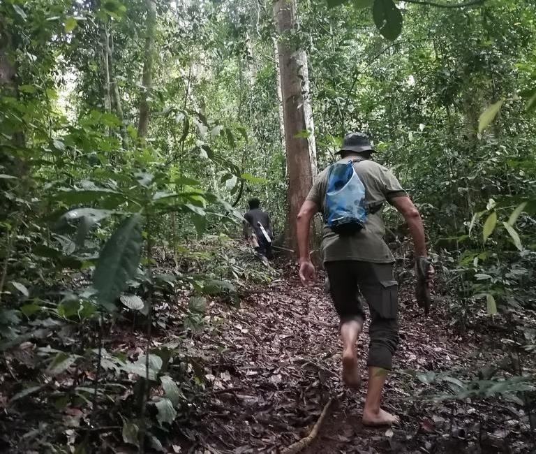 Walking behind the hunter in the rainforest when blowpipe hunting