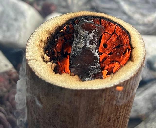 Giant Fennel pith stalk smoldering test