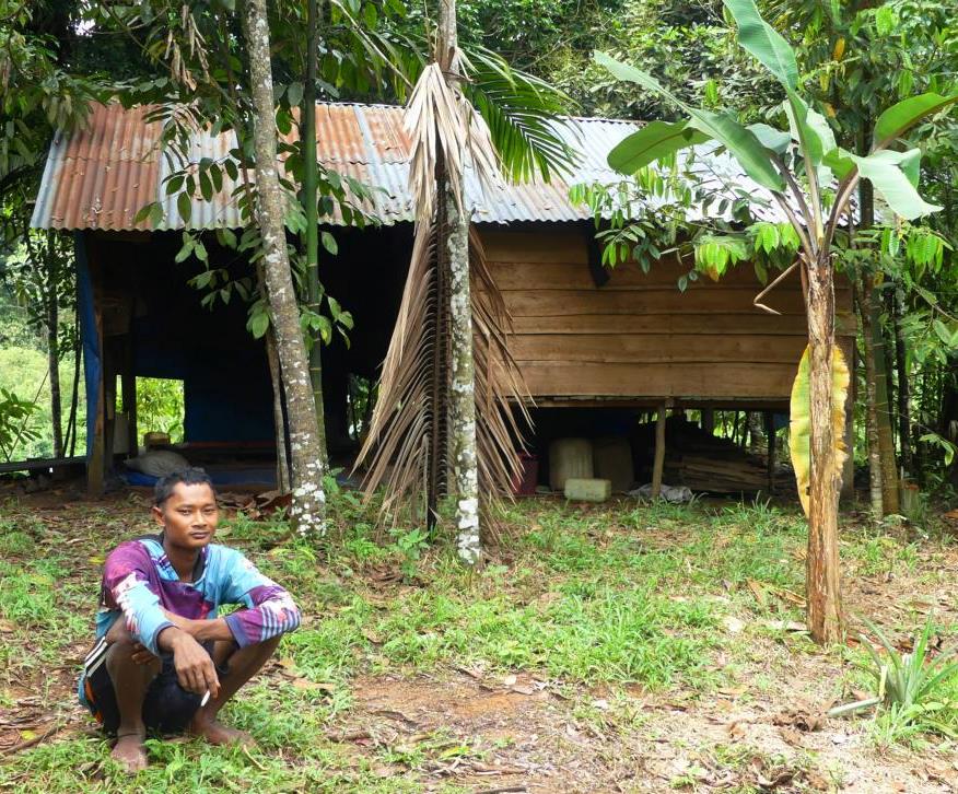 Semi-permanent Orang Rimba shelter