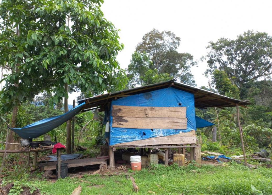 Orang Rimba semi-permanent shelter