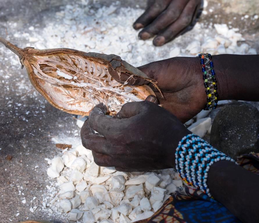 Baobab seeds and pulp porridge - Bushguide 101