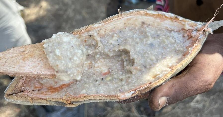 Baobab porridge in a Baobab pod