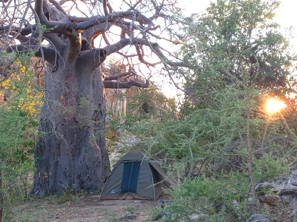 Camp under Baobab tree at Yaeda South area