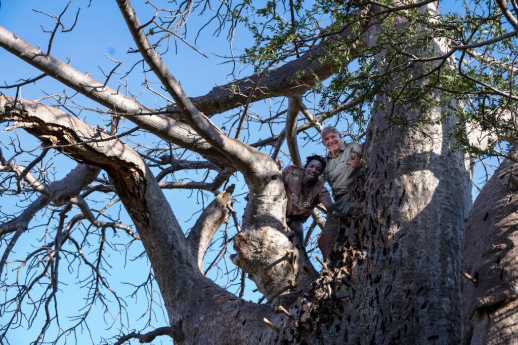 After the climb on a Baobab tree