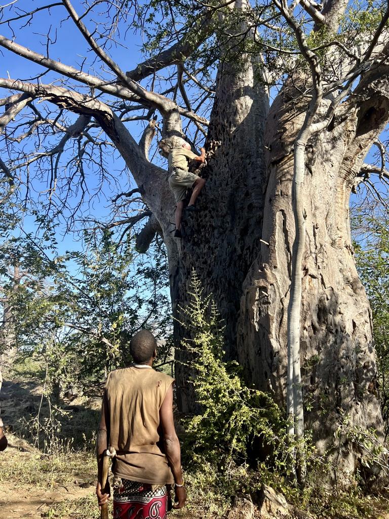 Thirdly, climbing on to the Baobab tree is on