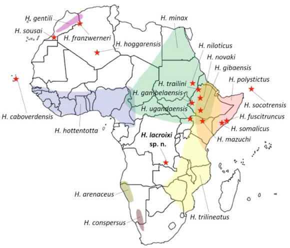 Map of the known distribution of Hottentotta scorpion species in Africa.