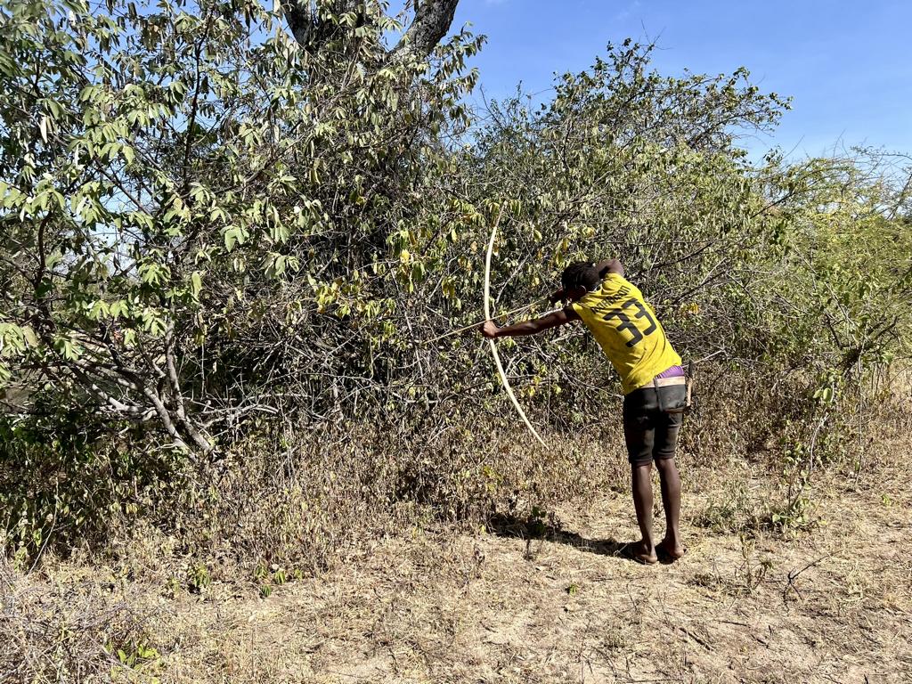 Hadza hunter shooting his bow