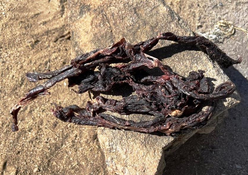 Dried Zebra meat in Hadza camp