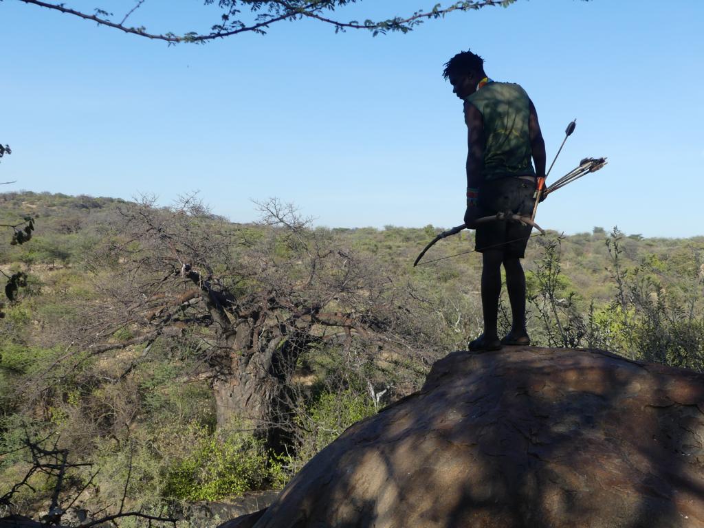 Hadza hunter checks the surrounding