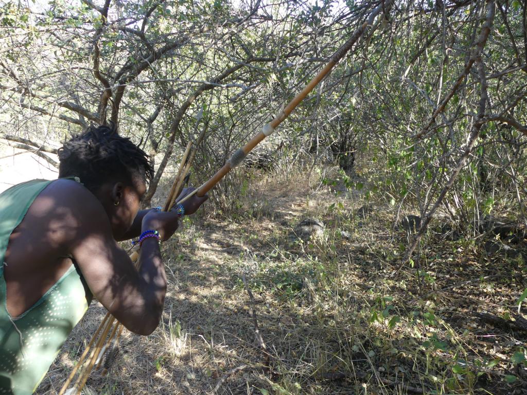 Another Hadza shooting his bow