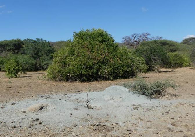 Water well of Datoga people