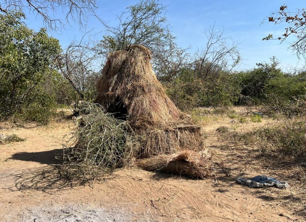 Hadza single hut