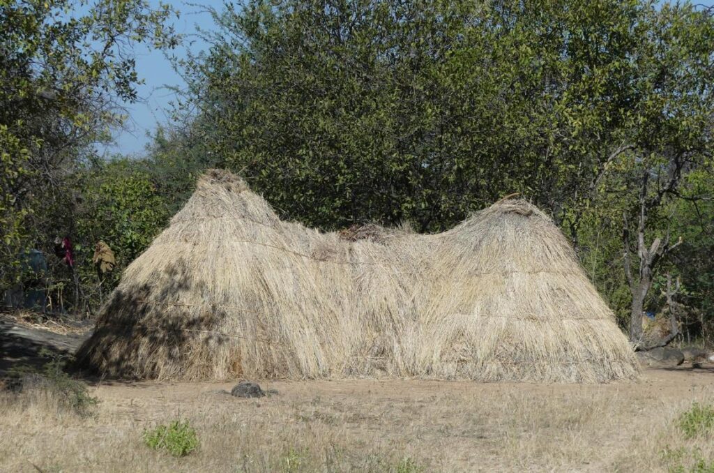 Hadza hut structure of two connected huts