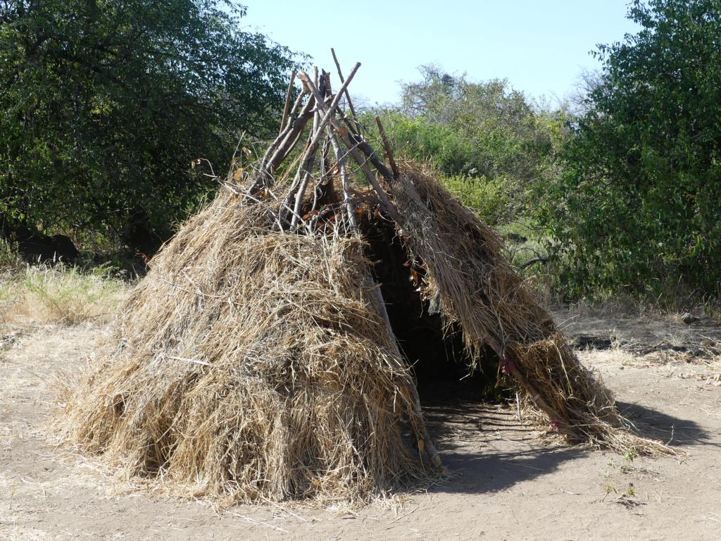 Semi-finished hut of Hadza