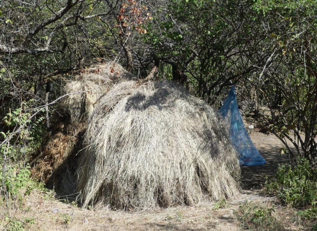 Hadza hut in the mountains