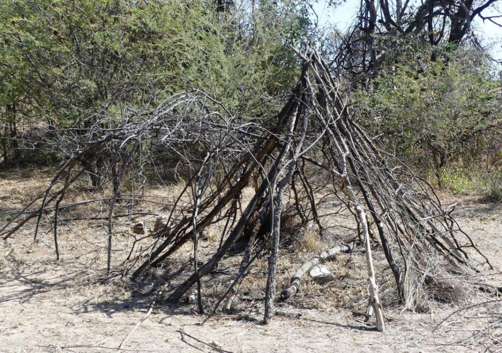 Lattice framework of a Hadza hut structure