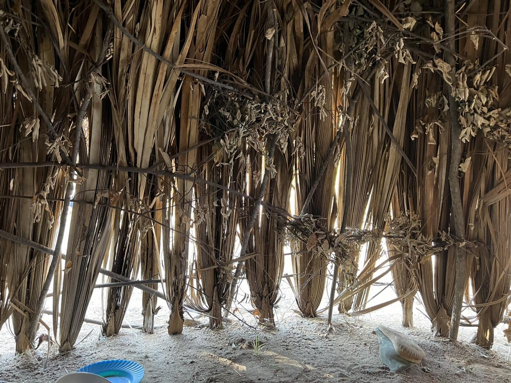 Fan palm fonds as a bottom layer in a hadza hut for ventilation