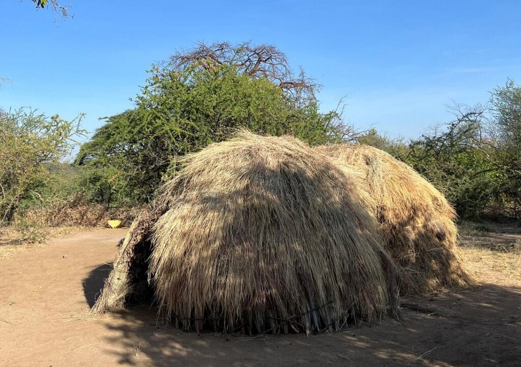 Hadza hut structure