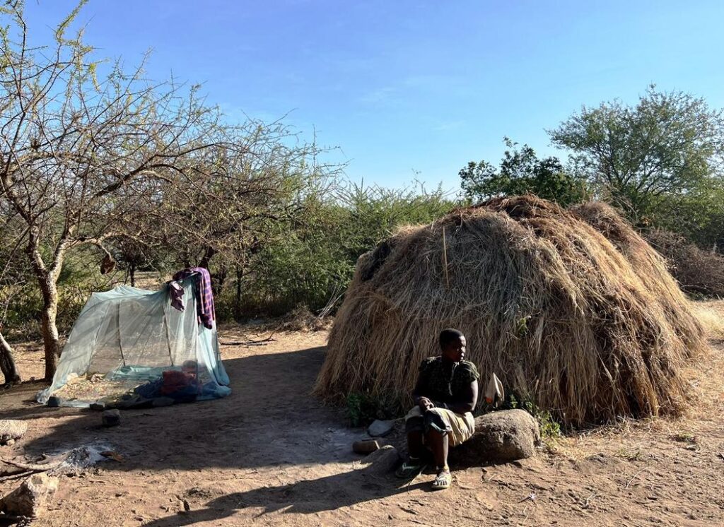 Mosquito net next a hut of Hadza people