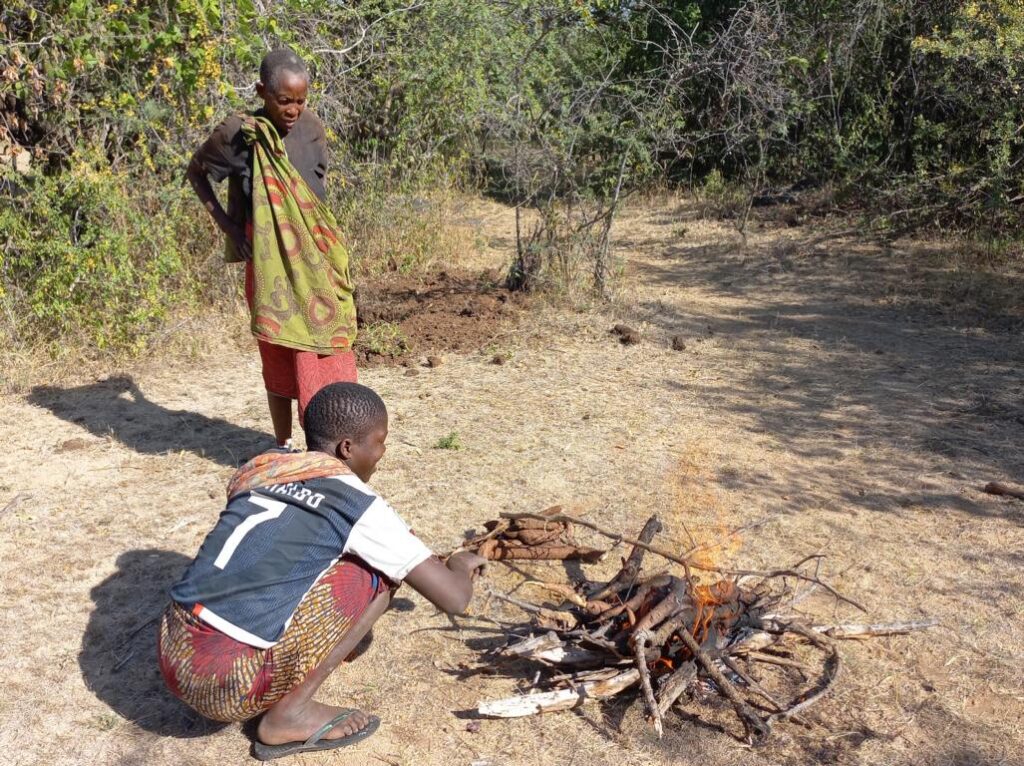 Scorching root tubers