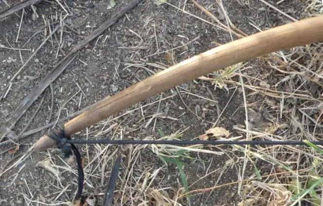 String attachment of Hadza bows on the upper limb