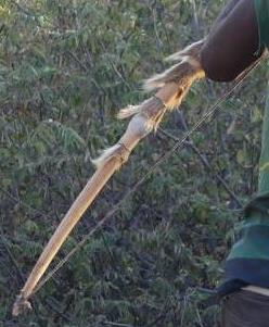 Animal skin wrappings on a Hadza bow