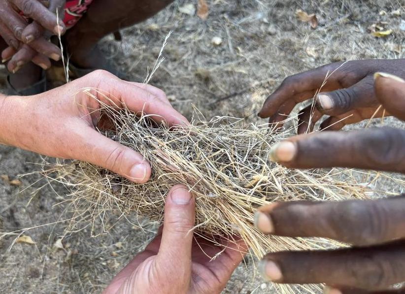 Hadza fire nest