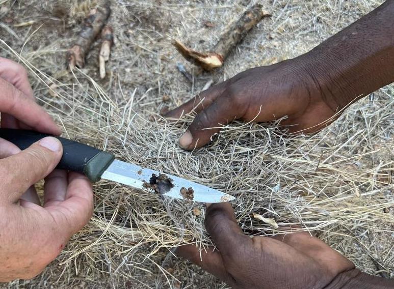 Creating an ember with Hadza hand drill friction fire