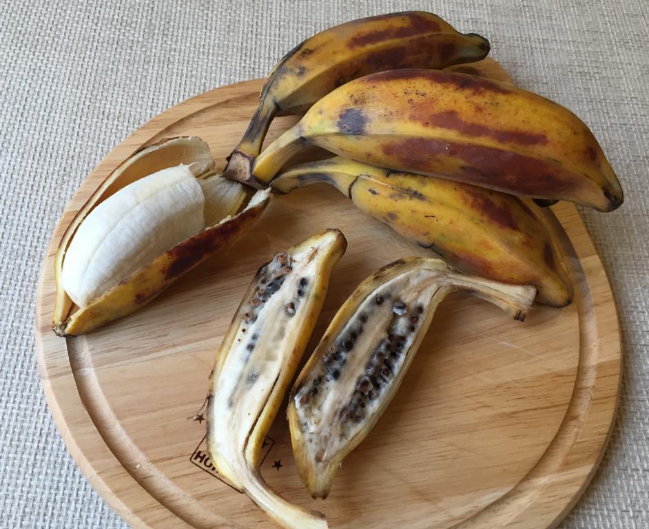 ✳︎Banana✳︎ Origin of Bananas - Bushguide 101