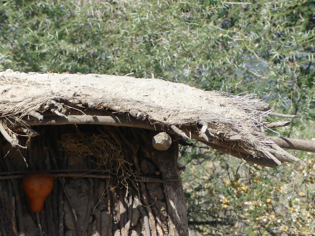 Roof covering of a Datoga hut